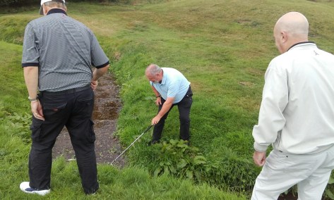 20160916_121634_resized-1