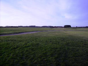 website buddon first resize