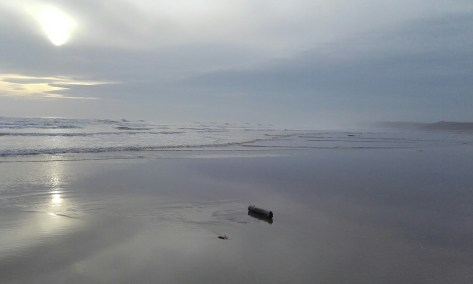 20161216_105137_resized